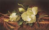 Martin Johnson Heade Magnolia France oil painting art